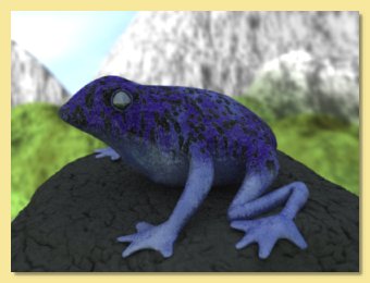 _images/frog_gi_nolight_small.jpg