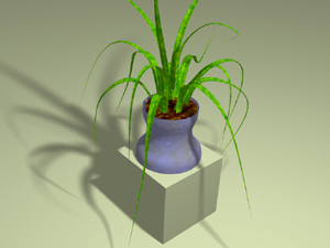 Plant